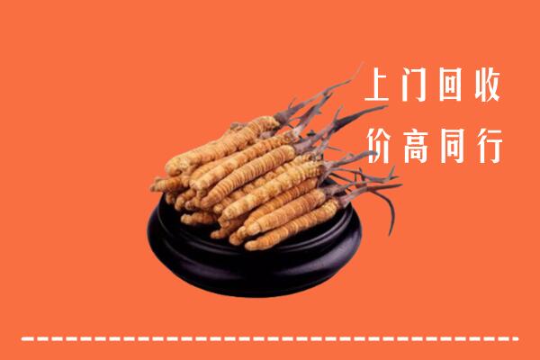 高价求购：海北州祁连县回收散虫草