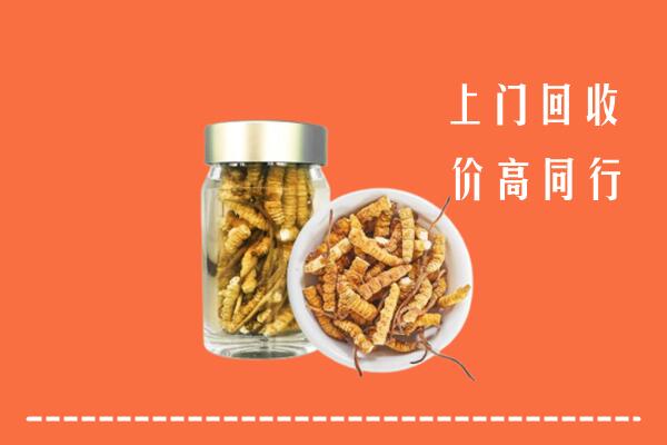 海北州祁连县回收冬虫夏草